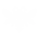 bee icon