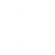 duck icon