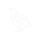 quail icon