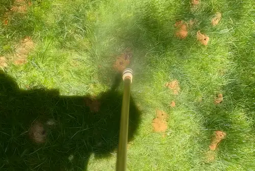spraying soapy water to remove the ground bees