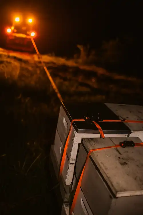 Beehive boxes strapped and being transported at night under vehicle lights