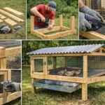How to Build a Quail Cage: Stackable, Indoor & Breeding Options 6 a complete setup of building quail cage in one frame