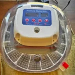 Quail Egg Incubators: Top Picks + How to Incubate Quail Eggs automatic quail egg incubator with eggs inside