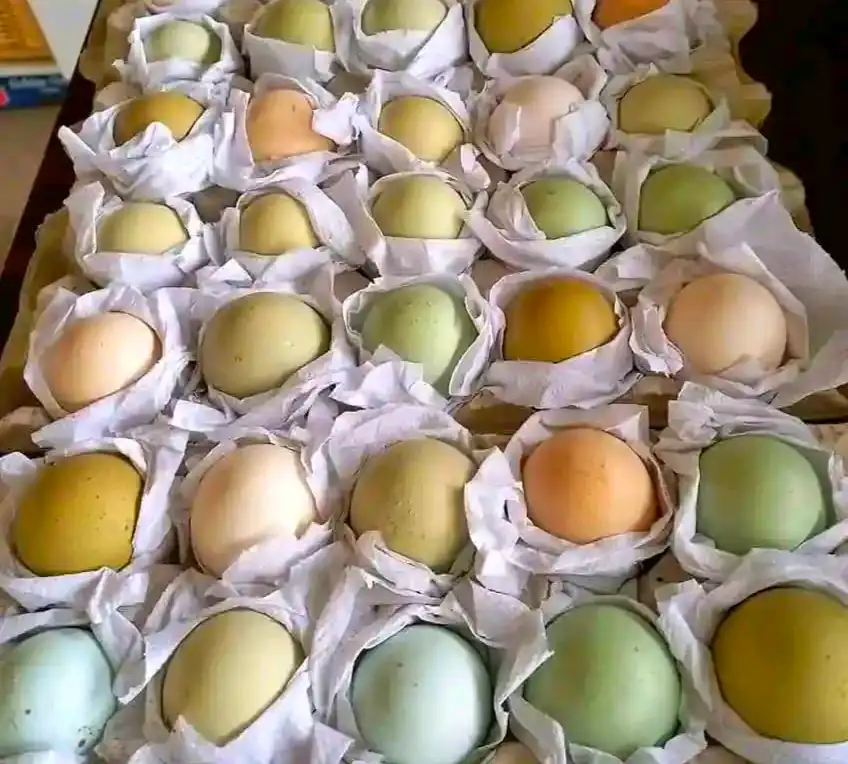 Easter Egger Chicken: Eggs, Chicks, Colors & Care 11 easter egger hens' eggs in a box