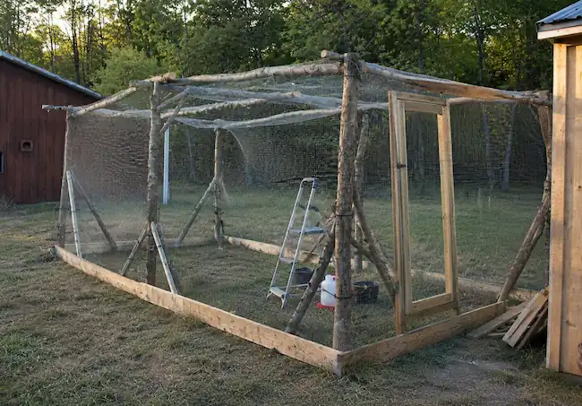 Beginner's Guide to Raising Chickens at Home 5 Predator-proof backyard chicken run under construction with wire mesh enclosure and wooden framing