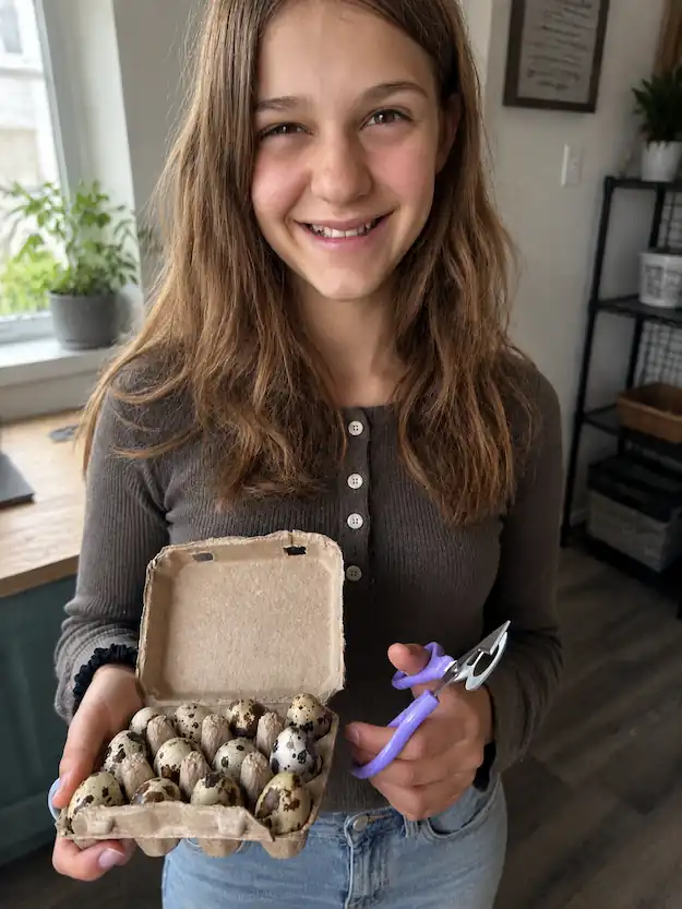 Best Quail Egg Scissors for Clean, Mess-Free Cracking 5 Girl at Carter Farmstead holding a carton of fresh quail eggs and purple quail egg scissors in a kitchen, demonstrating a quail egg cutting tool.