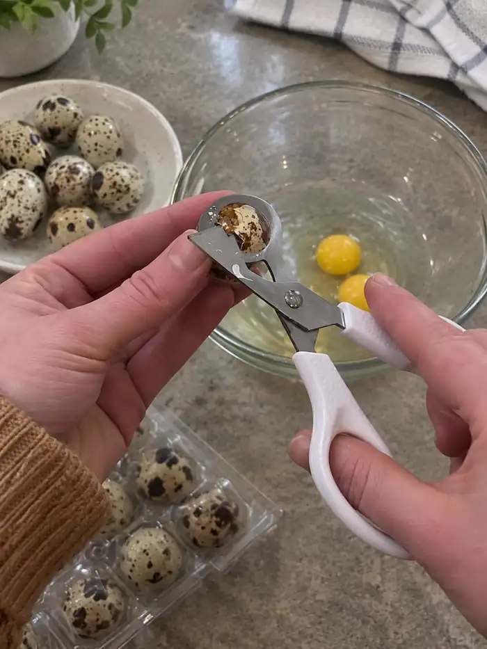 Best Quail Egg Scissors for Clean, Mess-Free Cracking 6 Hand using quail egg scissors to make a clean cut in a quail egg over a glass bowl.