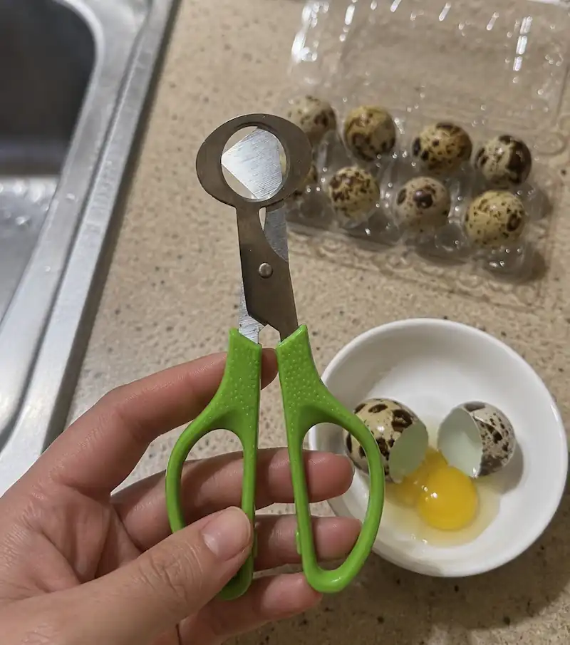 Best Quail Egg Scissors for Clean, Mess-Free Cracking 4 Hand holding green-handled quail egg scissors beside quail eggs in a clear egg carton.