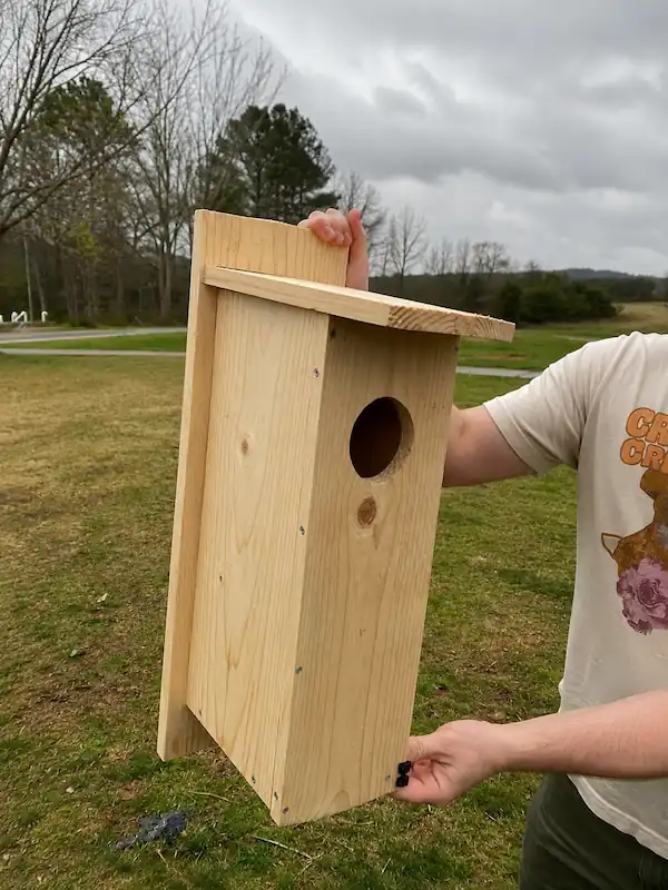 Wood Duck Nesting Boxes: Reviews, DIY Plans & Buying Guide 5 Open-front wood duck nesting box showing the interior before installation outdoors