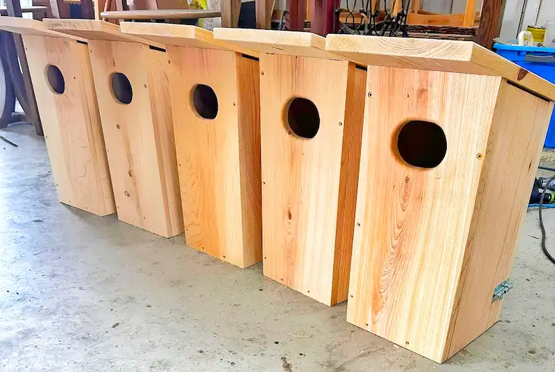Wood Duck Nesting Boxes: Reviews, DIY Plans & Buying Guide 6 5 nesting boxes for wood ducks at Carter Farmstead