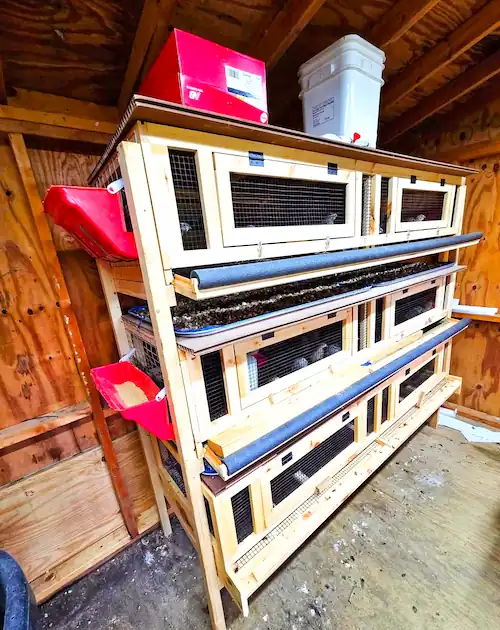 Three-tier wooden quail cage with wire mesh compartments, external feeders, and egg collection trays