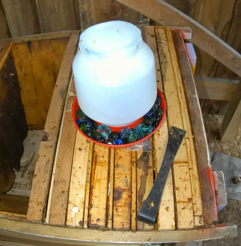5 Best Bee Feeders: Reviews, Comparisons & Buying Guide 10 Bucket feeder filled with sugar syrup for honey bees