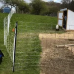 Best Electric Fence for Goats: Types, Setup & Buying Tips 16 Electric fence enclosing a grassy goat pasture with a small goat shelter and goats inside the fenced area