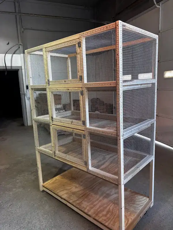 Best Quail Cages: Buy the Right Cage for Your Flock 5 Stackable multi-tier wooden quail cage with wire mesh compartments and egg collection trays