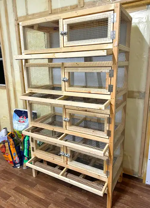 Best Quail Cages: Buy the Right Cage for Your Flock 7 Wooden tiered quail cage with multiple wire compartments, front doors, and egg collection trays
