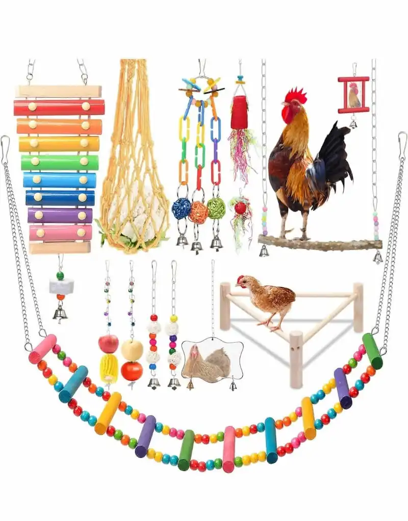 9 Best Chicken Toys for Coops + DIY Ideas 6 Collection of colourful chicken toys and enrichment accessories, including hanging ladders, bells, ropes, perches, mirrors and beaded swings