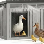 Best Duck Coop and Run: 5 Options Compared 13 KFY waterproof duck coop with elevated floor and air vents