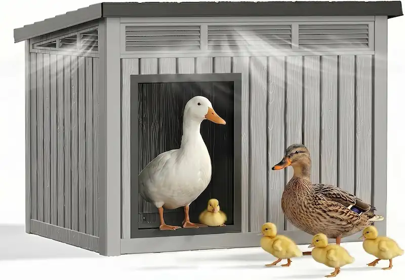 Best Duck Coop and Run: 5 Options Compared 10 KFY waterproof duck coop with elevated floor and air vents