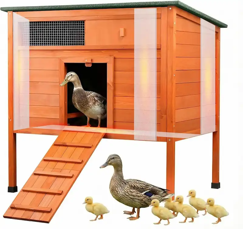 Best Duck Coop and Run: 5 Options Compared 9 Insulated brown warm duck coop with larger windows