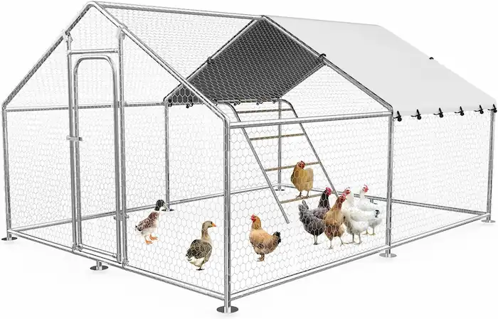 Best Duck Coop and Run: 5 Options Compared 11 Rupzen walk-in metal duck coop of size 9.9x13.2 ft