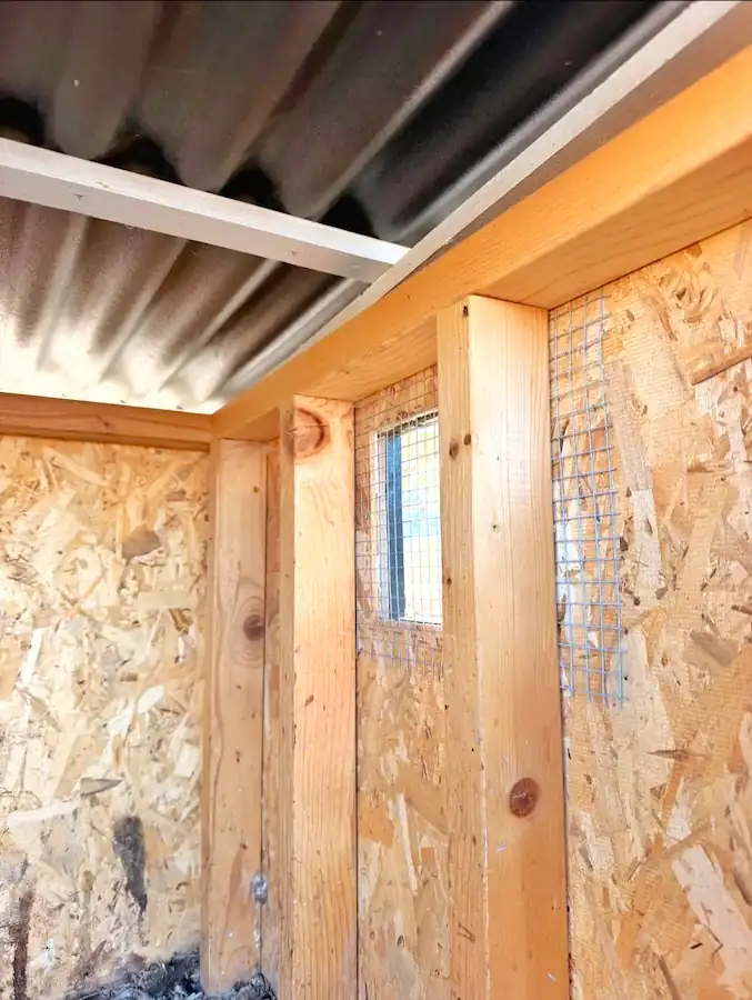 Best Duck Coop and Run: 5 Options Compared 16 Inside a DIY wooden duck coop showing OSB wall panels, timber supports, a small wire-mesh ventilation window and a corrugated metal roof